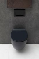 Крышка-сиденье для унитаза Allen Brau Fantasy Smartfix, Soft-Close черный матовый арт-4.11005.31 — фото 11, Сиденья для унитаза