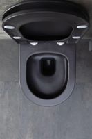 Товар: Унитаз Allen Brau Priority 4.31002.AN подвесной Антрацит без сиденья - фото 44 Унитаз Allen Brau Priority 4.31002.AN подвесной Антрацит без сиденья — фото 44, Подвесные унитазы