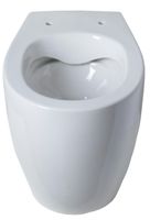 Унитаз Allen Brau Fantasy 4.11007.20 приставной Белый без сиденья — фото 1, Приставные унитазы