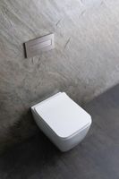 Унитаз Allen Brau Liberty 2 4.33007.20 подвесной Белый без сиденья — фото 31, Подвесные унитазы