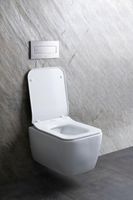 Унитаз Allen Brau Liberty 2 4.33007.20 подвесной Белый без сиденья — фото 34, Подвесные унитазы