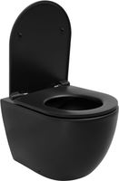 Унитаз Allen Brau Reality 4.32004.31 приставной Черный матовый без сиденья — фото 1, Приставные унитазы