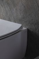 Товар: Унитаз биде Allen Brau Fantasy 4.11HC1.20 подвесной Белый без сиденья - фото 42 Унитаз биде Allen Brau Fantasy 4.11HC1.20 подвесной Белый без сиденья — фото 42, Подвесные унитазы