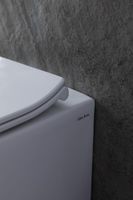 Унитаз Allen Brau Fantasy 4.11007.20 приставной Белый без сиденья — фото 41, Приставные унитазы