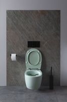 Товар: Унитаз Allen Brau Fantasy 4.11004.MT подвесной Мятный без сиденья - фото 20 Унитаз Allen Brau Fantasy 4.11004.MT подвесной Мятный без сиденья — фото 20, Подвесные унитазы