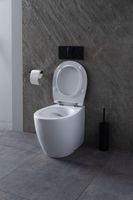 Унитаз Allen Brau Fantasy 4.11007.20 приставной Белый без сиденья — фото 30, Приставные унитазы