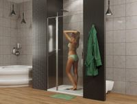 Душевая дверь Allen Brau Priority 120 3.31033.BBA профиль Черный браш стекло прозрачное — фото 4, Распашные душевые двери