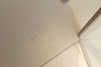 Товар: Душевая дверь Allen Brau Priority 120 3.31008.BA профиль Серебро брашированное стекло прозрачное - фото 10 Душевая дверь Allen Brau Priority 120 3.31008.BA профиль Серебро брашированное стекло прозрачное — фото 10, Распашные душевые двери