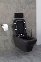 Товар: Унитаз Allen Brau Infinity 4.21011.31 подвесной Черный матовый без сиденья - фото 39 Унитаз Allen Brau Infinity 4.21011.31 подвесной Черный матовый без сиденья — фото 39, Подвесные унитазы