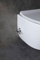 Товар: Унитаз биде Allen Brau Fantasy 4.11HC1.20 подвесной Белый без сиденья - фото 44 Унитаз биде Allen Brau Fantasy 4.11HC1.20 подвесной Белый без сиденья — фото 44, Подвесные унитазы