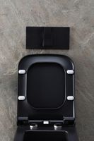 Товар: Унитаз Allen Brau Infinity 4.21011.31 подвесной Черный матовый без сиденья - фото 51 Унитаз Allen Brau Infinity 4.21011.31 подвесной Черный матовый без сиденья — фото 51, Подвесные унитазы