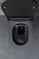 Товар: Унитаз Allen Brau Priority 4.31001.AN подвесной Антрацит без сиденья - фото 44 Унитаз Allen Brau Priority 4.31001.AN подвесной Антрацит без сиденья — фото 44, Подвесные унитазы