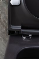 Товар: Унитаз Allen Brau Priority 4.31001.AN подвесной Антрацит без сиденья - фото 49 Унитаз Allen Brau Priority 4.31001.AN подвесной Антрацит без сиденья — фото 49, Подвесные унитазы