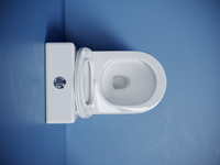 Напольный пристенный унитаз Metropol смыв Торнадо белый CN4001T — фото 6, Напольные унитазы