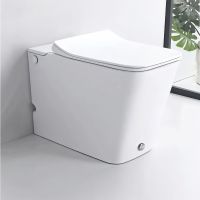 Унитаз Ceruttispa CT7269 7269 с импульсным смывом приставной с сиденьем Микролифт — фото 3, Приставные унитазы