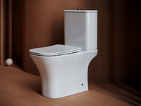 Напольный  унитаз с бачком Alfa Rimless — фото 3, Напольные унитазы