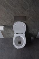 Товар: Унитаз биде Allen Brau Fantasy 4.11HC1.20 подвесной Белый без сиденья - фото 37 Унитаз биде Allen Brau Fantasy 4.11HC1.20 подвесной Белый без сиденья — фото 37, Подвесные унитазы