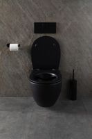 Унитаз Allen Brau Reality 4.32006.31 подвесной Черный матовый без сиденья — фото 30, Подвесные унитазы