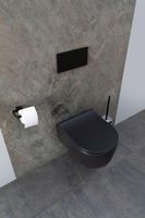 Унитаз Allen Brau Priority 4.31002.31 подвесной Черный матовый без сиденья — фото 33, Подвесные унитазы