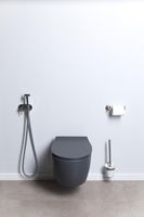 Унитаз Allen Brau Fantasy 4.11004.AN подвесной Антрацит без сиденья — фото 27, Подвесные унитазы