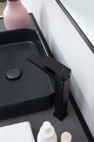 Раковина-чаша Allen Brau Fantasy 50 4.11021.31 Черная матовая — фото 16, Раковины накладные