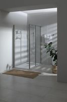 Душевая дверь Allen Brau Priority 140 3.31011.BA профиль Серебро брашированное стекло прозрачное — фото 25, Распашные душевые двери