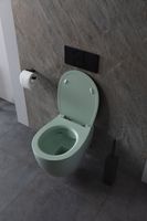 Товар: Унитаз Allen Brau Fantasy 4.11004.MT подвесной Мятный без сиденья - фото 25 Унитаз Allen Brau Fantasy 4.11004.MT подвесной Мятный без сиденья — фото 25, Подвесные унитазы