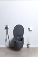 Унитаз Allen Brau Fantasy 4.11004.AN подвесной Антрацит без сиденья — фото 33, Подвесные унитазы