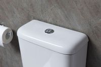 Товар: Унитаз компакт Allen Brau Infinity 4.21001.20 Белый без бачка и сиденья - фото 26 Унитаз компакт Allen Brau Infinity 4.21001.20 Белый без бачка и сиденья — фото 26, Напольные унитазы