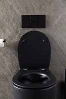 Унитаз Allen Brau Reality 4.32006.31 подвесной Черный матовый без сиденья — фото 21, Подвесные унитазы