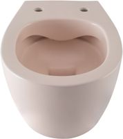 Унитаз Allen Brau Fantasy 4.11004.SM подвесной Розовый без сиденья — фото 1, Подвесные унитазы