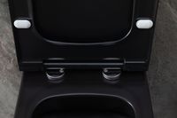 Унитаз Allen Brau Priority 4.31002.31 подвесной Черный матовый без сиденья — фото 39, Подвесные унитазы