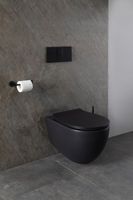 Унитаз Allen Brau Reality 4.32006.31 подвесной Черный матовый без сиденья — фото 29, Подвесные унитазы