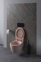 Товар: Унитаз Allen Brau Fantasy 4.11004.SM подвесной Розовый без сиденья - фото 23 Унитаз Allen Brau Fantasy 4.11004.SM подвесной Розовый без сиденья — фото 23, Подвесные унитазы