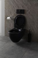 Унитаз Allen Brau Reality 4.32006.31 подвесной Черный матовый без сиденья — фото 34, Подвесные унитазы