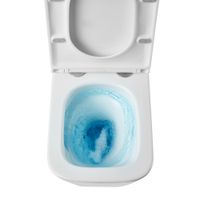 Товар: Унитаз подвесной Terminus Ватикан (Торнадо 3.0) 03WM49x34W, белый - фото 4 Унитаз подвесной Terminus Ватикан (Торнадо 3.0) 03WM49x34W, белый — фото 4, Подвесные унитазы