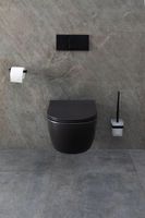 Унитаз Allen Brau Priority 4.31001.31 подвесной Черный матовый без сиденья — фото 30, Подвесные унитазы