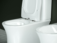 Напольный  унитаз с бачком Star Rimless — фото 18, Напольные унитазы