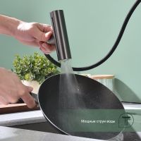 Смеситель для кухни с мультифункциональным изливом Splenka , графит арт-S206.49.09 — фото 5, Смесители для кухни