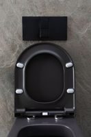 Товар: Унитаз Allen Brau Priority 4.31002.AN подвесной Антрацит без сиденья - фото 30 Унитаз Allen Brau Priority 4.31002.AN подвесной Антрацит без сиденья — фото 30, Подвесные унитазы