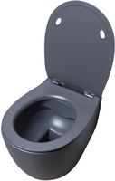 Унитаз Allen Brau Fantasy 4.11004.AN подвесной Антрацит без сиденья — фото 11, Подвесные унитазы