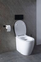 Унитаз Allen Brau Fantasy 4.11007.20 приставной Белый без сиденья — фото 44, Приставные унитазы