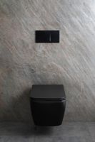 Унитаз Allen Brau Liberty 2 4.33007.31 подвесной Черный матовый без сиденья — фото 41, Подвесные унитазы