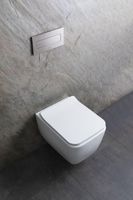 Унитаз Allen Brau Liberty 2 4.33007.21 подвесной Белый матовый без сиденья — фото 32, Подвесные унитазы