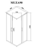 Душевой уголок Ceruttispa Muza 90x90 профиль Черный стекло прозрачное с рисунком — фото 6, Квадратные душевые уголки