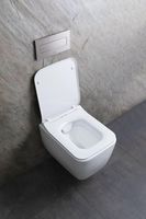 Унитаз Allen Brau Liberty 2 4.33007.21 подвесной Белый матовый без сиденья — фото 55, Подвесные унитазы