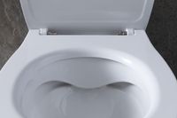 Унитаз Allen Brau Fantasy 4.11007.20 приставной Белый без сиденья — фото 39, Приставные унитазы