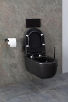 Унитаз Allen Brau Priority 4.31002.31 подвесной Черный матовый без сиденья — фото 31, Подвесные унитазы