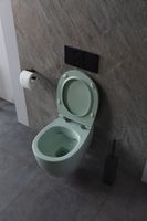 Товар: Унитаз Allen Brau Fantasy 4.11004.MT подвесной Мятный без сиденья - фото 24 Унитаз Allen Brau Fantasy 4.11004.MT подвесной Мятный без сиденья — фото 24, Подвесные унитазы