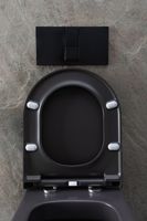 Товар: Унитаз Allen Brau Priority 4.31002.AN подвесной Антрацит без сиденья - фото 40 Унитаз Allen Brau Priority 4.31002.AN подвесной Антрацит без сиденья — фото 40, Подвесные унитазы